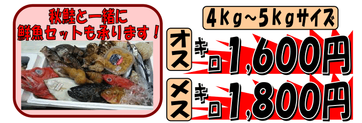 ���ٕ��Θp�Y�H���@�y����z