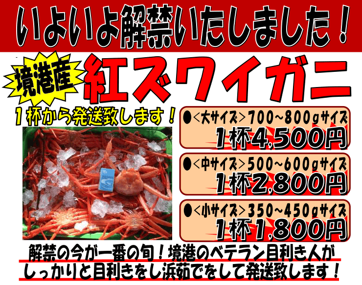 ���������`�@�g�Y���C�K�j