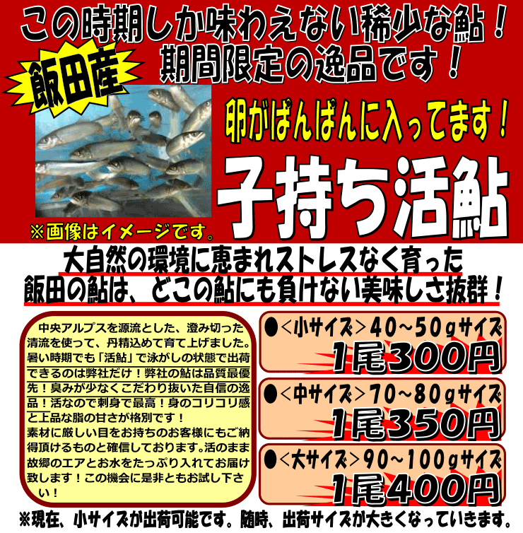 ���쌧�Y�@�q��������