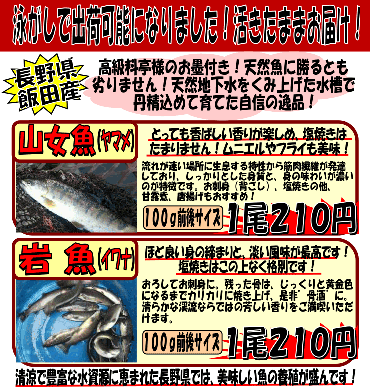 ���쌧�ѓc�Y�@�����}�������C���i