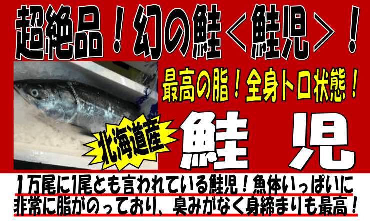 �k�C���Y�@����