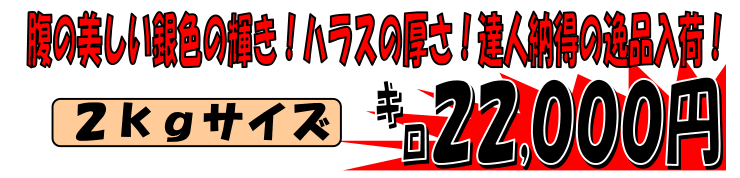 �k�C���Y�@����