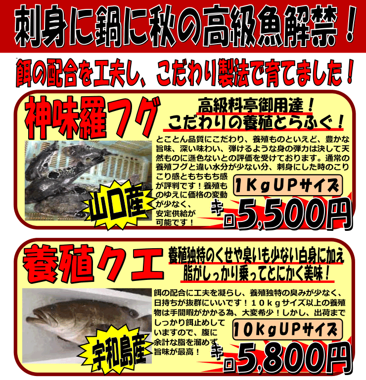 �R�����Y�_�����ӂ������Q�Y�{�B�N�G