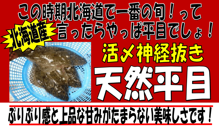 �k�C���Y�@���Y�_�o�����V�R����