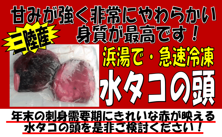 �O���Y�@���^�R�̓�