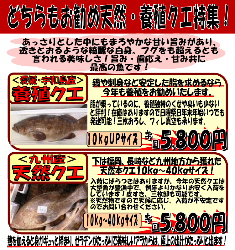 ��B�Y�V�R�N�G�����Q�Y�{�B�N�G