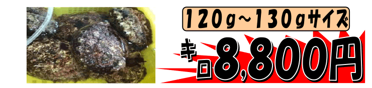 �O���Y�@�����A���r