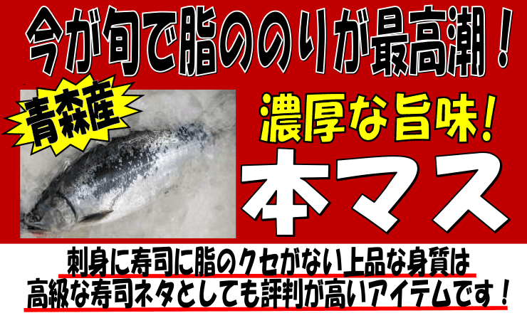 �X���Y�@�{�}�X