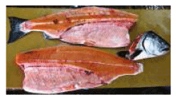 �X���Y�@�{�}�X