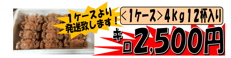 �O���Y�@�Ⓚ�A���r�@��T�C�Y