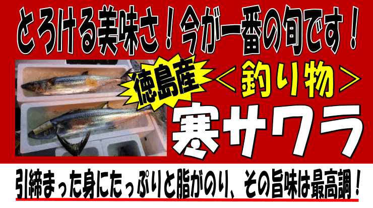 �������Y�@�ށE���T����