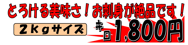 �������Y�@�ށE���T����