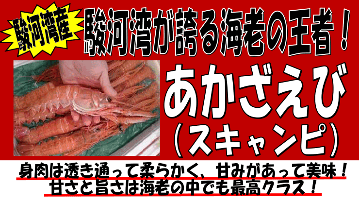 �x�͘p�Y�@�A�J�U�G�r�i�X�L�����s�j