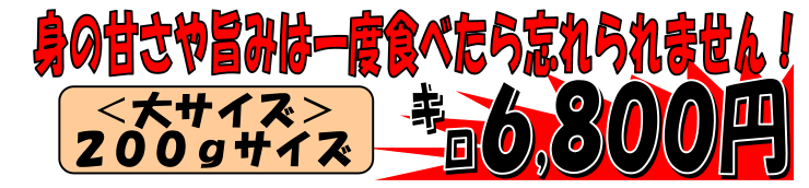 �x�͘p�Y�@�A�J�U�G�r�i�X�L�����s�j