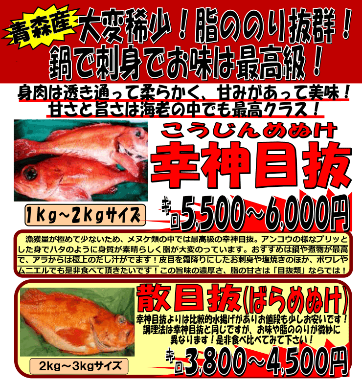 �X���Y�@�_�K�ڔ����U�ڔ�