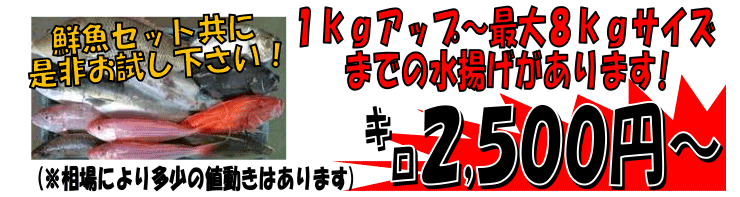 ���茧�ܓ��񓇎Y�@�_�o�Y����