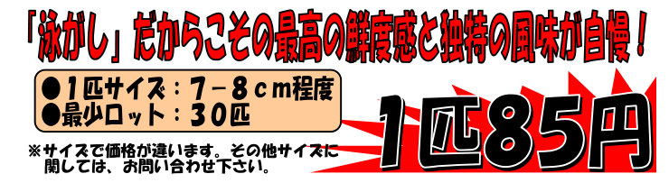 ���쌧�ѓc�Y�@�j�������t��