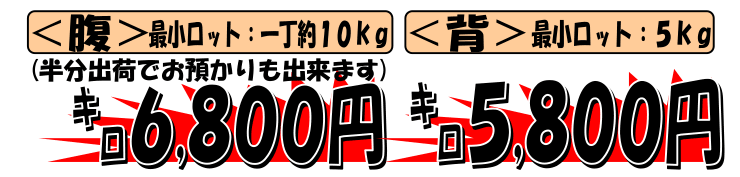 �V�R�E�Ⓚ�@�C���h�}�O��