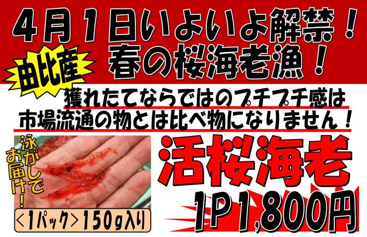 �É����R��Y�@��������