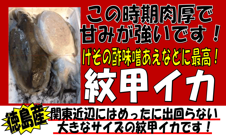 �������Y�@��b�C�J