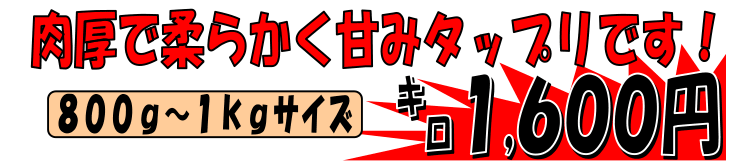 �������Y�@��b�C�J