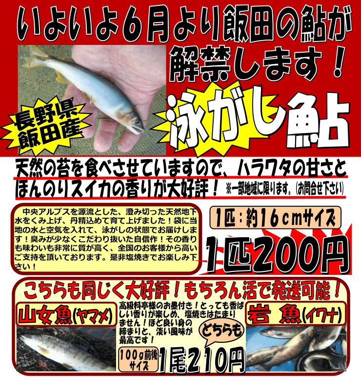 ���쌧�ѓc�Y�@�j������