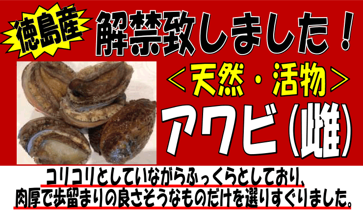 �������Y�@�V�R�������