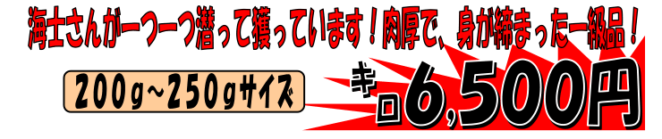 �������Y�@�V�R�������