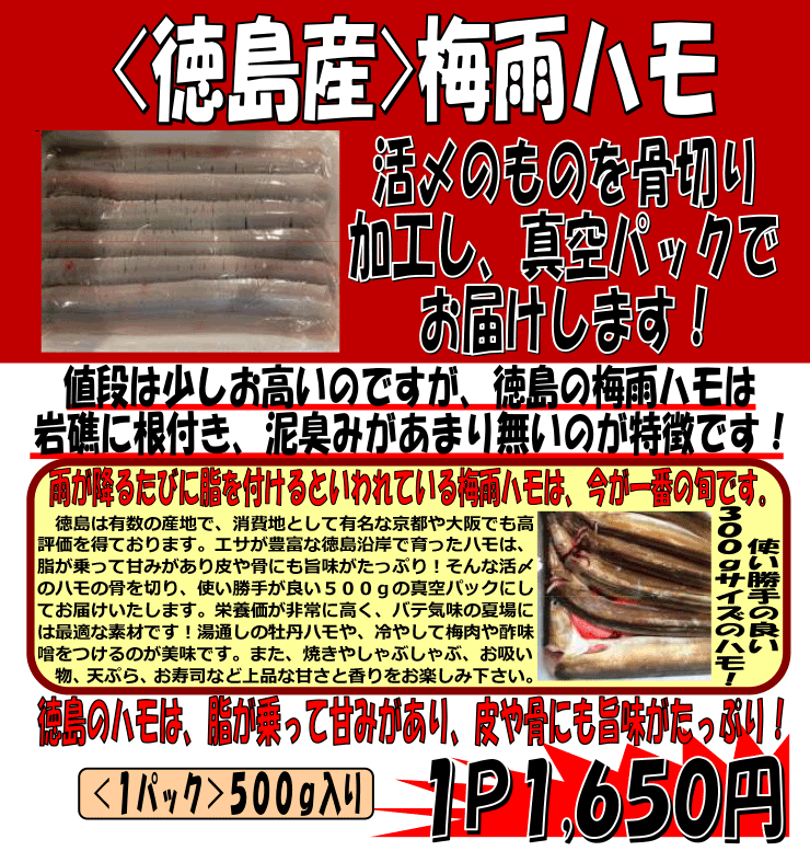 �������Y�@�~�J�n��