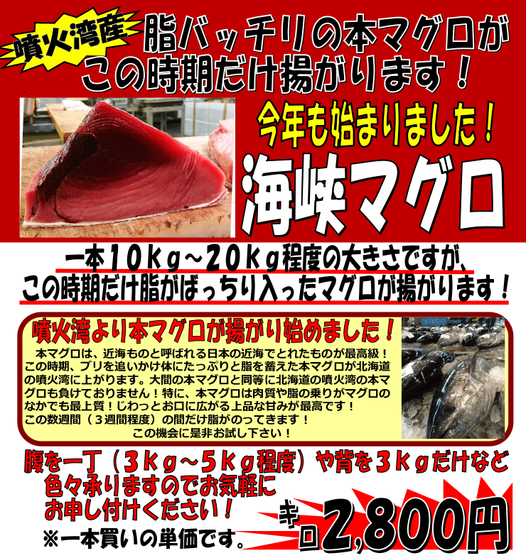 �k�C�����Θp�Y�@�C���}�O���i�{�}�O���j