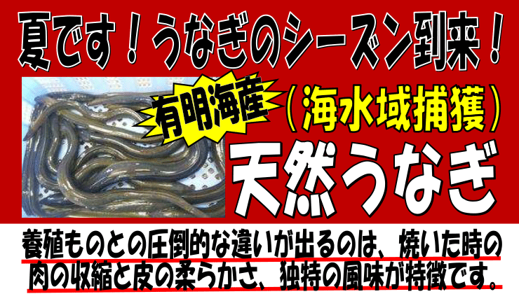 �L���C�Y�@�V�R���Ȃ�