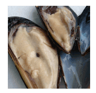 ���Ɍ����ΎY�@���[���L