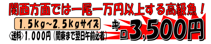 ���R�����˓��Y�@�}�i�J�c�I