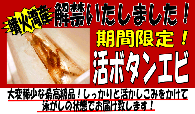 �k�C�����Θp�Y�@���{�^���G�r