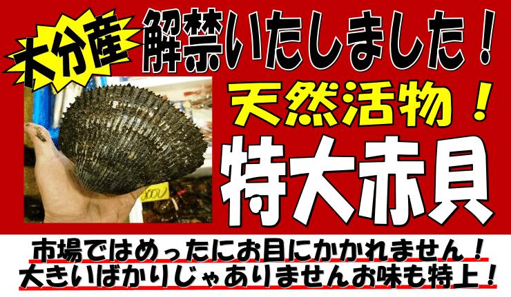 �啪���Y�@�V�R�����I����ԊL