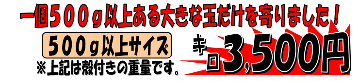 �啪���Y�@�V�R�����I����ԊL