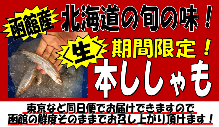 �k�C�����َY�@���{�������