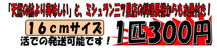 ���쌧�ѓc�Y�@�q�����A��