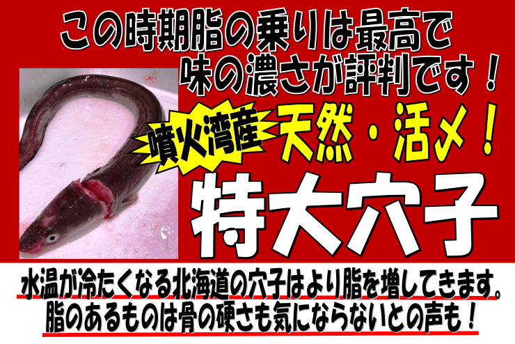 �k�C�����Θp�Y�@���匊�q