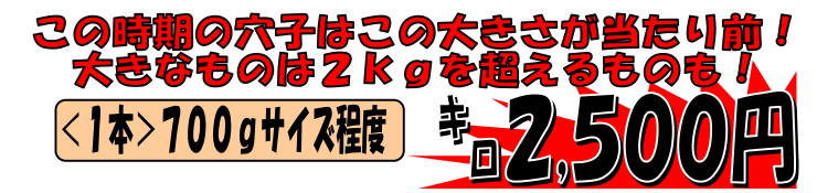 �k�C�����Θp�Y�@���匊�q