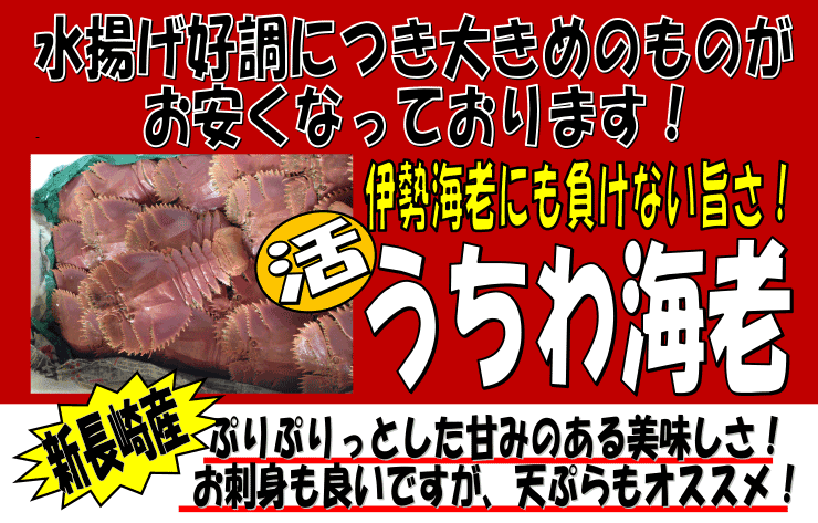 �V����Y�@��������C�V