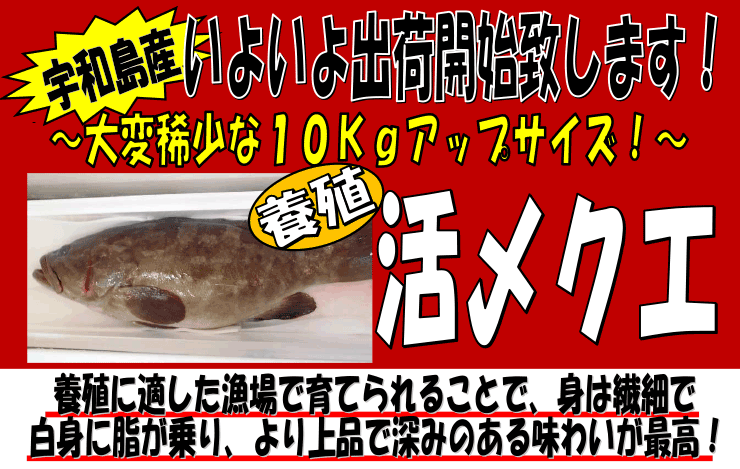 ���Q���F�a���Y�@�{�B���Y�N�G