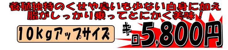 ���Q���F�a���Y�@�{�B���Y�N�G