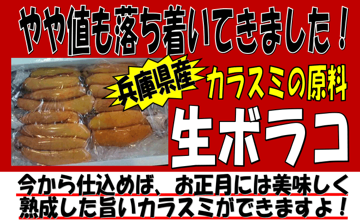 ���Ɍ��Y�@���{���R