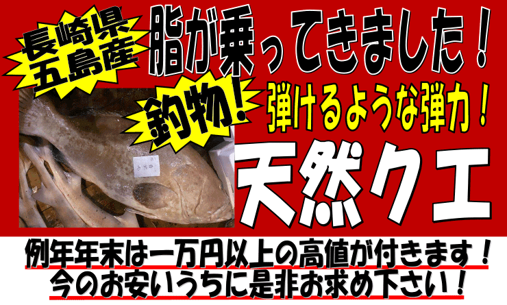 ���茧�ܓ��Y�@�V�R�N�G