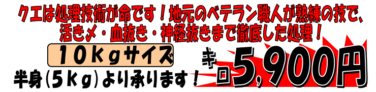 ���茧�ܓ��Y�@�V�R�N�G