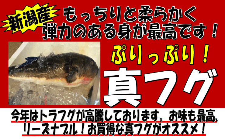 �V�����Y�@�^�ӂ�