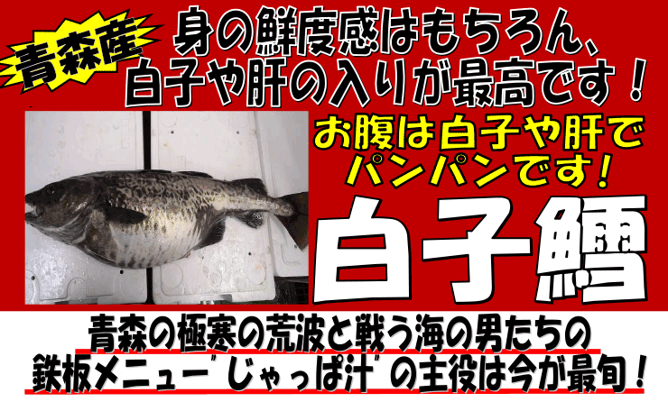 �X�Y�@���q�L