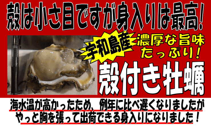 �F�a���Y�@�k�t�����y