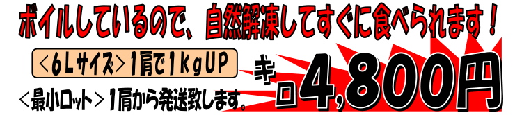 ���V�A�Y�@�Ⓚ�E�{�C���@�^���o�K�j